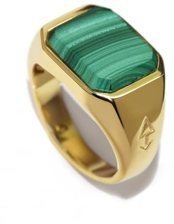 Rock & Steel 'Neptune' Herren Silber Ring Siegelring mit Malachite Stein aus 925 Sterling Silber (Gold, 69 (22.0 mm))