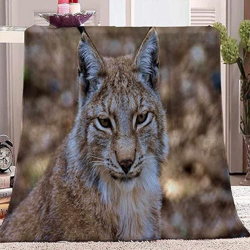 Fleecedecke Decke 150 x 200 cm Luchs Kuscheldecke Flauschig Warme Decken als Wohndecke Sofadecke Couchdecke Sofaüberwurf Wohnzimmerdecke Tagesdecke