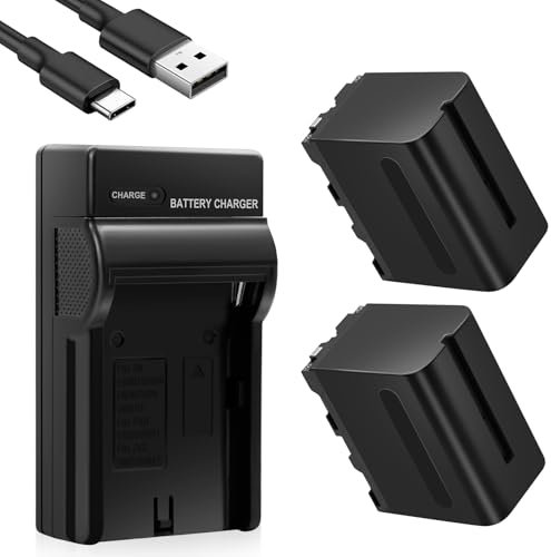 12000mAh BOANV NP-F970U/980 Kamera Akku für Sony FX3/FX30/A7, für Canon R5, für Nikon Z8, für Camcorder LED Videoleuchte, TP-F970(2 Batterien und EIN Ladegerät mit Zwei Schächten)