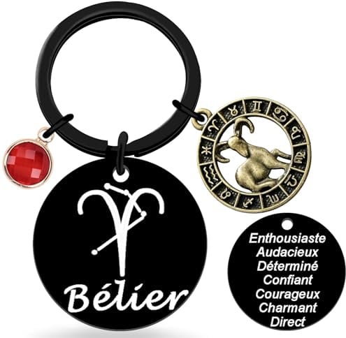 Porte-clés Signe du Zodiaque Métallique- Amateurs d'Astrologie Accessoire Français Élégant- 12 Constellation Anniversaire, Cadeau pour Anniversaire, Noël ou Saint-Valentin