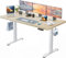 HUANUO Höhenverstellbarer Schreibtisch 160x80cm,25MM Ganze Tischplatte mit Bürstenloser Motor,Ergonomischer Steh-Sitz Tisch Stehpult,Einfache Montage Elektrischer Stehschreibtisch für Homeoffice