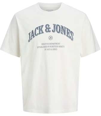 JACK & JONES Male T-Shirt T-Shirt