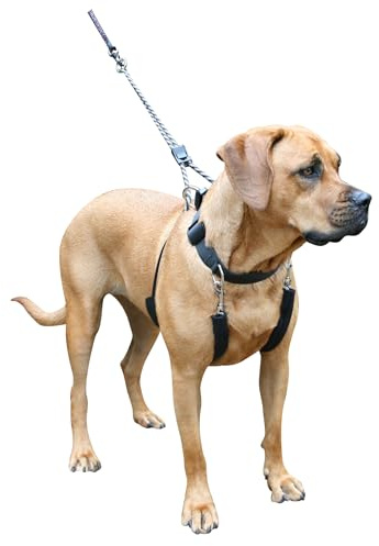 Sporn Big Dog Halter X-Large, Black