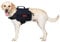 OneTigris Mammoth Hunderucksack 2.0 Version Reißen Camping Wandern Hundebackpack für M/L Größe Hunde (M, Schwarz)