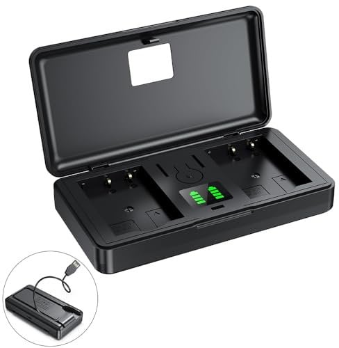 NP-BG1 Charger(Not Including Battery) Dual Channel Charging,LED Display,Sony T100 H50 W300 W55 W70 W80 DSC-N1 T2 H9 H10 H20 HX5C WX1 T20 H70 HX30V HX7V W130 W 150W Compatible with camera