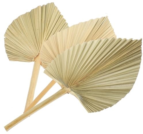 CLISPEED Set de 3 Hojas de Palma Secas Grandes en Forma de Abanico para Decoración Rústica en Bodas, Fiestas y Hogar