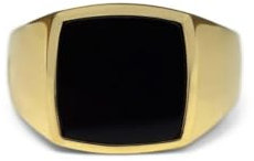 Herrenring Siegelring Gold mit Stein massiv 925 Sterling Silber 18k 750 Echtgold vergoldet poliert | Männerschmuck mit Geschenkbox (Gold Onyx, 54 (17.2))