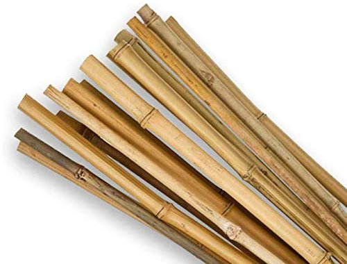 Garden Mile 20 x Bamboo Canes 60cm/2ft Gardeners Stakes Strong Durable Heavy Duty Outdoor Garden Cane Accessory Plant Support Flexible Poles Multi-Use Patio Yard (Pack of 20)