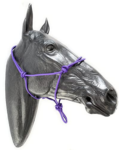 ARBO-INOX Knotenhalfter einfach ohne Führstrick Sonderangebot (Pony, LILA)