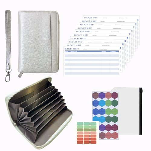 Budget wallet, budget planner, cash Filled Savings Challenge, système de budget multifonctionnel avec 12 feuilles de budget, étiquettes de catégorie et bracelet 19cm * 13cm (Argent)