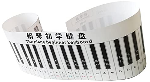 JEWEDECO Piano Keyboard Sticker for Beginners Desktop Electronic Practice Decal with Musical Notes and Staff Guide Durable Safe Material for Learning Piano Keys and Scales