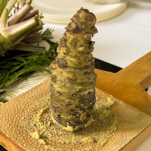 wasabi - bio küche bodendecker, seltene balkon 300samen