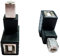 SHANFEILU 90 Degree USB 2.0 Type B Printer Adapter,USB 2.0 B Male to Type B Female UP Angle Print and Data Transfer Extension Connector for Printer Scanner Fax HDD 2 pcs