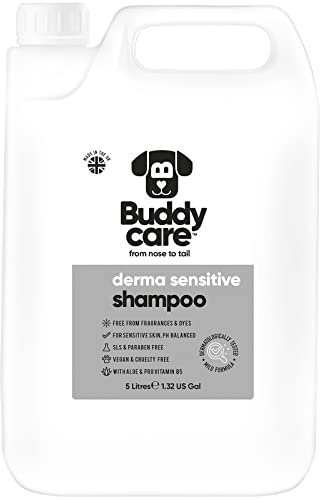 Derma Sensitive Shampoo von Buddycare - Hundeshampoo für empfindliche Haut - Mit Aloe Vera und Pro-Vitamin B5 (5L)