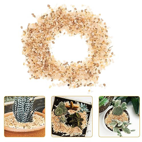 Angoily 1 Sack Beige Stein Kieselsteine für Sukkulentenpflanzen mit Einzigartigem Design Kleine Sandsteine zur Landschaftsdekoration und Bepflanzung