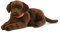 Living Nature Soft Toy - Großes Stofftier Labrador, braun (60cm)