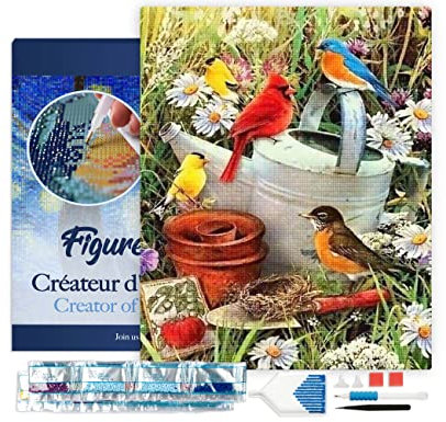 Figured'Art Diamond Painting Erwachsene 40x50cm Mit Rahmen Ganze Leinwand gespannt Vögel im Garten 5D Bilder Eckige Steine - DIY Set Basteln
