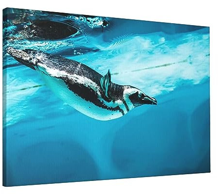 Humboldt Pinguin, auch Peruanischer Pinguin genannt, Leinwandbild, 40,6 x 61 cm, Wandgemälde, moderne Drucke, Kunstwerke, Poster, ungerahmt für Wohnzimmer, Schlafzimmer, Küche, Heimdekoration