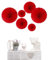 Pack of 6 Paper Fans Colourful Party Decorations Christmas Halloween Birthday Valentine Decorations (Red Shade)