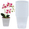 Selbstbewässerungstopf 10 -pcs atmungsaktive Orchid -Topf -PP -Selbstbewässerungsplanter mit Entwässerungsloch 5,5 -Zoll -nachfüllbarem Selbstbewässerungstöpfe für Home Office, transparentes Orchid -