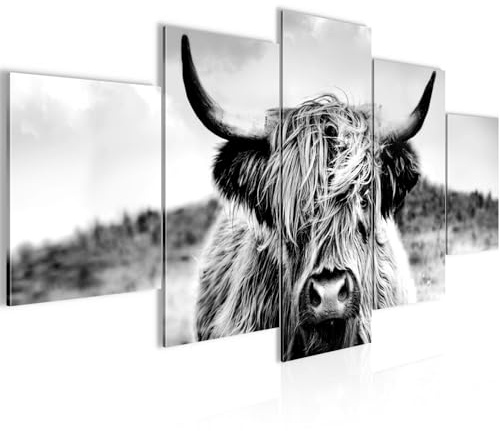 Runa Art Wandbilder Tiere 5 Teilig Bild auf Vlies Leinwand Deko Wohnzimmer Schlafzimmer Büro Schwarz Weiß Schottisches Hochlandrind 056652a