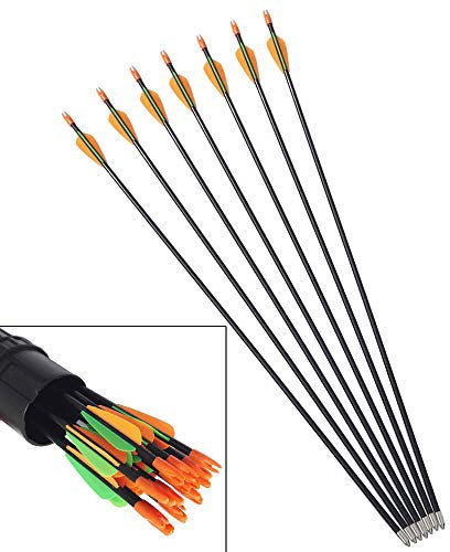 ZSHJG 12pcs Kinder Fiberglaspfeile 29Zoll Jagdpfeile Kinder Pfeile Bogenpfeile Für Compoundbogen Recurve Bogen (Orange)