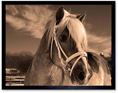 Wee Blue Coo Icelandic Pony Sepia Horse Winter Snow Art Print Framed Poster Wall Decor Kunstdruck Poster Wand-Dekor-12X16 Zoll