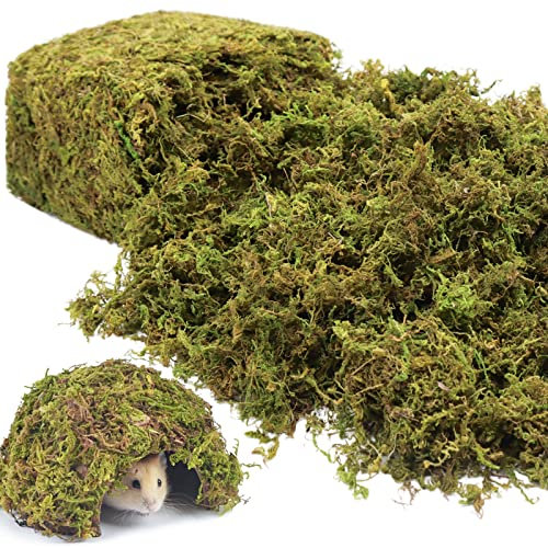 Riare 600g Habitat Moss Natural Hamster Moss-Soft Forest Moss Hamster Habitat for Dwarf Syrian Hamsters, Mices, Gerbils, Reptiles, Small Pets