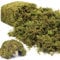 Riare 600g Habitat Moss Natural Hamster Moss-Soft Forest Moss Hamster Habitat for Dwarf Syrian Hamsters, Mices, Gerbils, Reptiles, Small Pets
