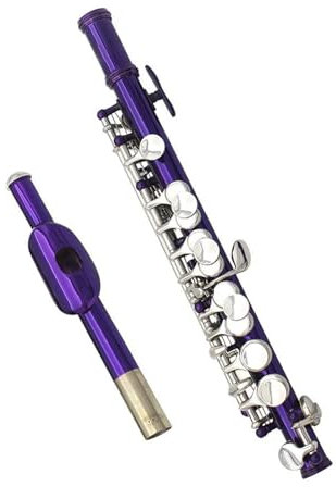 Professionale Flauto Traverso Strumento A Fiato Viola Piccolo Flauto In Cupronichel A 16 Fori Di Mezza Misura Con Scatola In Pelle E Accessori