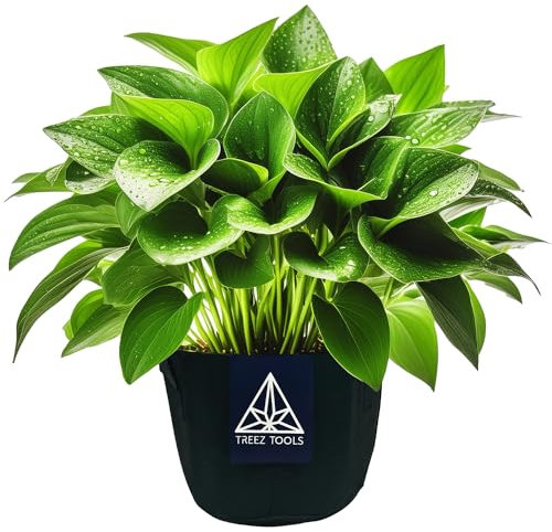 Treez Tools Grow Topf 3er-Set – Anzuchttöpfe, Pflanztöpfe, Blumentöpfe, Aufzuchttöpfe, Kräutertöpfe, Stofftöpfe – Plant Pot für Outdoor/Indoor, Verstärkte Griffe, Hochwertiger Filzstoff, 12L, 30×25 cm
