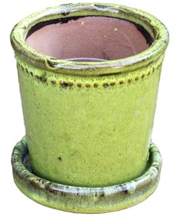 Darthome Small Green Glazed Ceramic Plant Pot With Matching Saucer, 12cm x 12cm x 12cm, Olive Green, Indoor/Outdoor, Drainage Hole Included