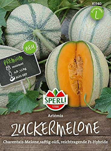 81540 Sperli Premium Zuckermelone Samen Artemis | Reichtragend | Melonen Samen | Honigmelone Samen | Samen Melone | Mini Melonen Pflanze | Mini Melonen Samen | Melonen Samen Freiland