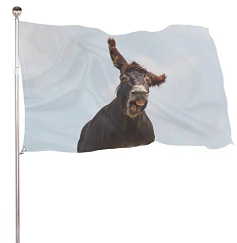 Dekorative Hausflagge, Hof-Banner, lustiger lächelnder Esel-Druck, Urlaub, Willkommen, Hof, Flagge, Rasen, hängende Dekoration, 90 x 150 cm