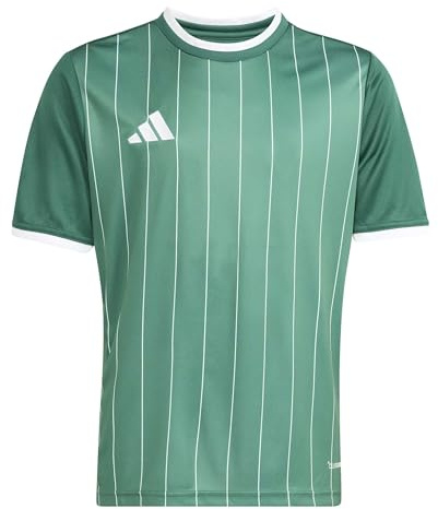 adidas Unisex Kids ENT26 GFX JSY Y