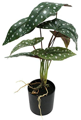 Geri 43cm Artificial Begonia Maculata Artificial Potted Plant Fake Plant