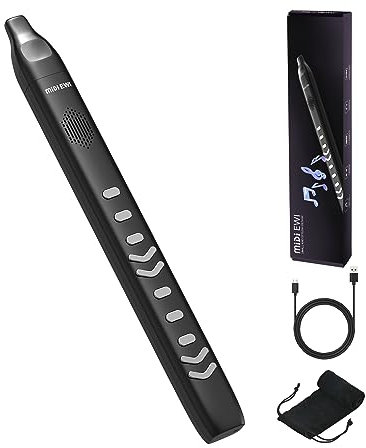 OYAYO Instrumento de viento digital, mini instrumento de viento electrónico con boquilla extraíble y batería recargable, 10 tonos de instrumentos musicales integrados