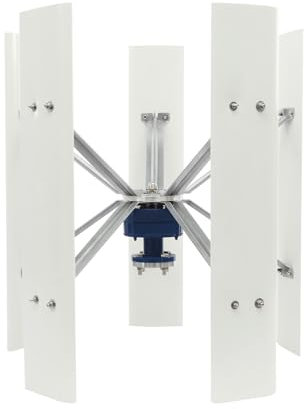 100W 5-Blatt Windturbine 12V/24V Windkraftanlage geräuscharm Windgenerator für Heimgebrauch Straßenlampen Boot Windmühle (24V)