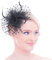 Bibi Mariage Femme Petit Chapeau Nuptiale Mariée Vintage Fascinator Hat Elégant Serre Tête Bandeau Pince Plume Fleur Accessoire Cheveux Coiffure pour Mariage Cocktail Photographie Derby Soirée Fête