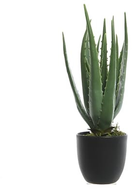 Kunstpflanze Aloe Vera im Topf 35cm Kunststoff Zimmerpflanzen Dekopflanzen Grünpflanzen künstlich