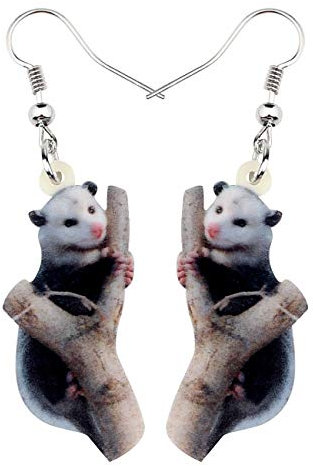 WEVENI Acrylic Lovely Possum Earrings Possum Dangle Novelty Jewelry For Women Girls Dainty Gift (Brown)