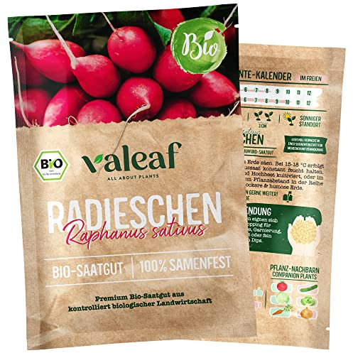 valeaf BIO Gemüse Samen I Premium Gemüsesamen zur Gemüse Anzucht im Garten, Balkon und Hochbeet I samenfestes Gemüse Saatgut I Pflanzen Samen zum Gemüse Pflanzen (Radieschen (BIO))