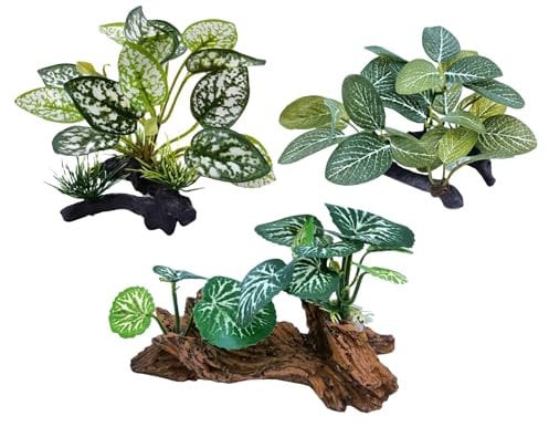 M2cbridge Plantes artificielles en Soie pour Aquarium - Herbe Aquatique - Décoration de Premier Plan (3 Herbes Vertes)