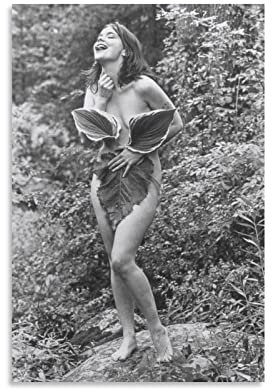 JITENG Bjork Vintage Foto Schlafzimmer Dekoration Leinwand Poster Gemälde Leinwand Wandkunst Wohnzimmer Poster Gemälde 30 x 45 cm