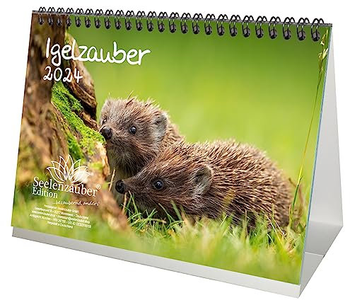 Igelzauber DIN A5 Tischkalender für 2024 Igel - Seelenzauber