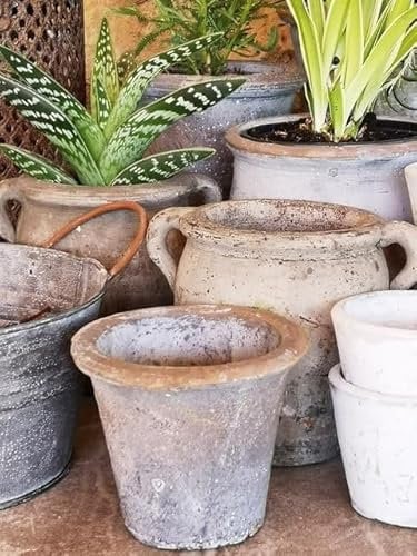 Small Terracotta Plant Pot, Rustic Fluted Aged Grey Bulb Pot, Small Seed Cactus Planter, Indoor House Plant Pot Cover, Ceramic Stone Pot, Rustic Cement Planter