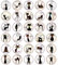 30 Stück Kühlschrankmagnete für Kühlschrank Dekor Whiteboard Dekorative Magnete Magnet Trockenlöschbrett Runde Büromagnete (Schwarze Katzen)