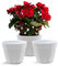Santino ASTI Lot de 3 Pots de Fleurs à Arrosage Automatique - 20 CM - Auto-Arrosant - avec Indicateur de Niveau d'eau - pour Toutes Les Plantes D'intérieur (Ø 20 cm, H 16 cm, 4L - Gris/Blanc)