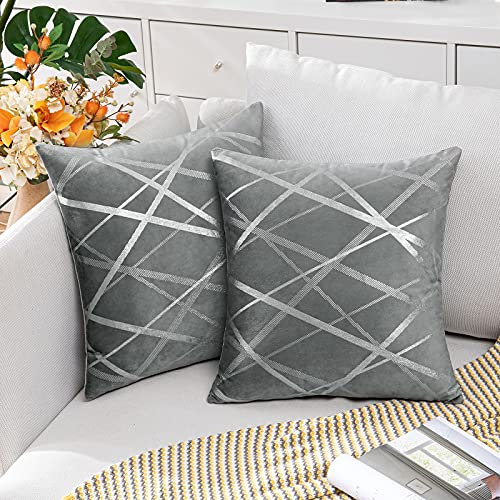 MIULEE 2er Set Samt Kissenbezug Silver Kissenbezüge Dekokissen Dekorativ Sofakissen Kissenhülle Zierkissenbezug Zierkissen Bezug Überzug Deko Kissen Bezüge Couchkissen Sofa Hellgrau 50x50 cm