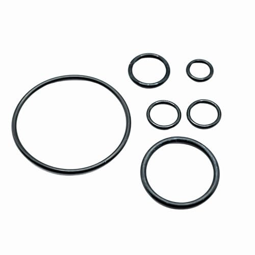 Sintrix-Fab Ensemble de joints toriques compatibles avec pompe automatique Gardena 4000/5E, 5000/5E, 6000/6E, parfait pour l'irrigation du jardin, la récolte de l'eau de pluie et l'entretien de la